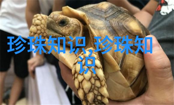 珍珠的化学解析珍珠成分