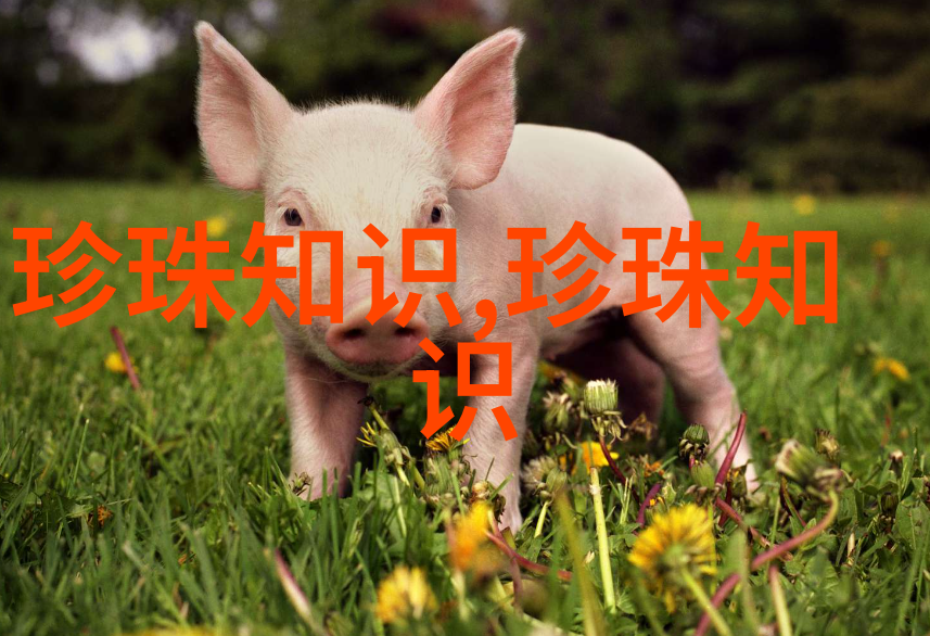 珍珠漫话史精华